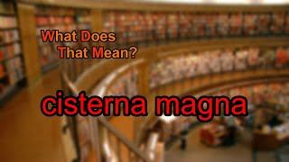 What does cisterna magna mean [upl. by Notsla321]