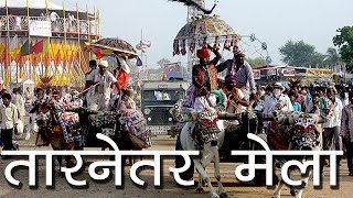 तारनेतर मेला  Tarnetar Fair Gujarat 2018  Hindu Rituals [upl. by Russo]