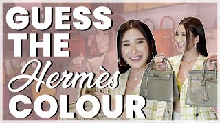 GUESS THE HERMES COLOUR WITH JC FT A SPECIAL GUEST  JAMIE CHUA [upl. by Gorski155]