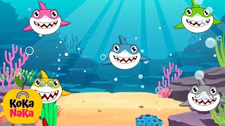 Baby Shark Doo Doo Doo Dance  KoKa NaKa Nursery Rhymes amp Kids songs [upl. by Vinita584]