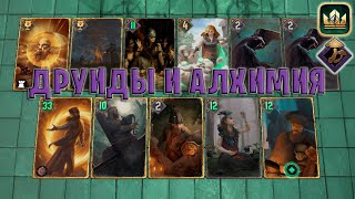 GWENT  ДРУИДЫ и АЛХИМИЯ Боевой транс — гайд  Гвинт Патч 119 [upl. by Bough962]