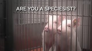 Are You a Speciesist [upl. by Laicram]