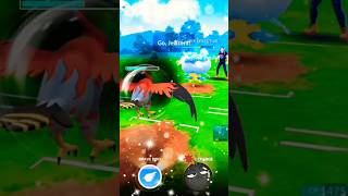 Talonflam 🔥 VS Jellicent 🌊  Pokémon go 🏆  Great league 💥 Lanturn 🌊 Dragalge 😈 shorts pokemongo [upl. by Pegg]