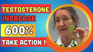 5 DANGEROUS Habits That Increase ESTROGEN Levels In Men amp Decrease Testosterone Dr Barbara ONeill [upl. by Sabanrab]