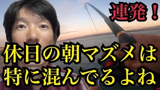 まずは休日の浜名湖でサビキ釣り🔥泳がせ釣り🔥Dジギング 🔥 [upl. by Glynis]