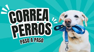 🚨Como HACER una CORREA para perros en 5 minutos 😱 [upl. by Athey]