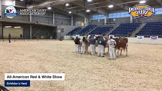 2024 AADS Day 2 Equine Arena Part 2 [upl. by Andaira]