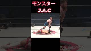 モンスター JAC 女子プロレス マーベラスプロレス [upl. by Novelc]