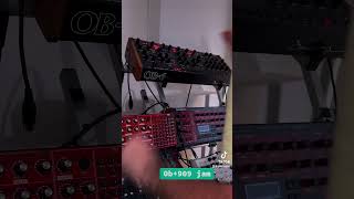 Ob6 909 jam synth technoproducer dj studio [upl. by Coffey]