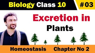 Excretion in plants class 10 [upl. by Elleinnad899]