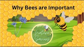 Why bees are important [upl. by Gerta]