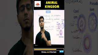 Types of Coelom Explained in 20 Seconds 🌟  Animal Kingdom  Class 11 [upl. by Llehcam]