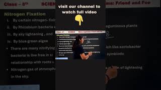 nitrogen cycle and nitrogen fixation science nitrogenfixation education knowledge [upl. by Uri998]