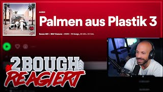 Bonez amp Raf Camora  Palmen aus Plastik 3  ALBUM Reaction [upl. by Eladal807]