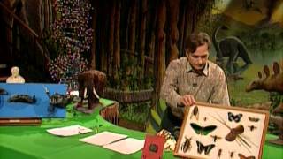 Richard Dawkins  CHRISTMAS LECTURES 1991  Growing up in the Universe [upl. by Swayder]