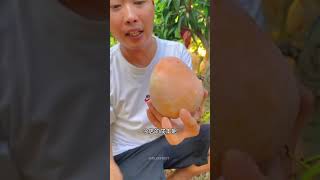 Satisfying fresh fruit mango apple fruit shorts [upl. by Calv]