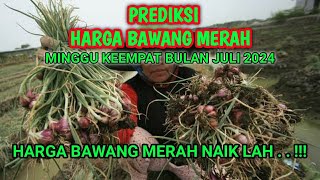 Perkiraan harga bawang merah minggu keempat bulan Juli 2024 [upl. by Maisie50]