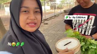 Pantai Marina Vlog 🏖️  Kelompok 3 [upl. by Richarda]