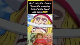 white beard and Oden annoying faces dont miss the chance to see 😂😅🤣onepiece funnyshorts [upl. by Acinahs]