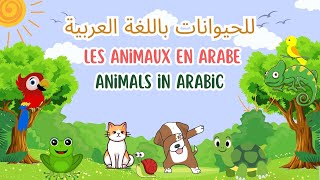 ￼Les animaux en arabe  Animals in Arabic  الحيوانات [upl. by Anawyt869]