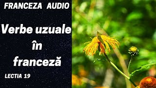 Franceza AUDIO 19  Verbe uzuale in franceza  grupa 1  Curs online de franceza 2020 [upl. by Aromas]