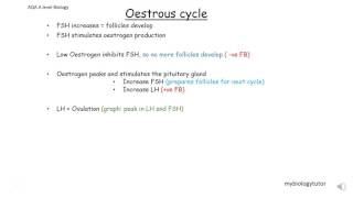 Oestrous Cycle AQA A level biology [upl. by Petra796]