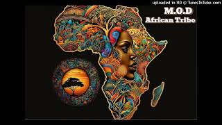 MOD  African Tribo Original Mix [upl. by Enrahs]