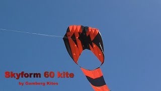 Skyform 60 parafoil kite [upl. by Fabiola]