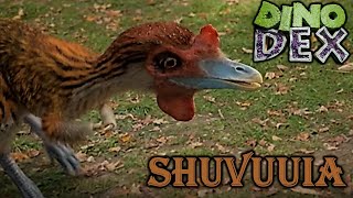 Dino dex shuvuuia screen time [upl. by Vowel701]