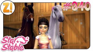 Star Stable SSO Das große LusitanoLeveln 340  Lets Play DEUTSCH [upl. by Oiracam]