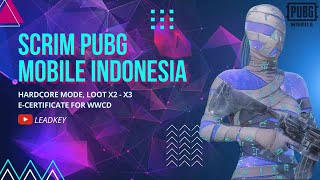 SCRIM PUBG MOBILE  ROOM ADVANCE  MODE HARDCORE  SERTI WWCD  LOOT X3X2 [upl. by Sanyu]