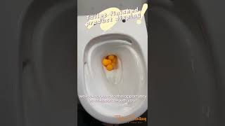 Toilet Flush Testing with 10 Ping Pong Balls 🏓toilet flushing shortsvideo [upl. by Saks]