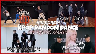 MIRRORED KPOP RANDOM DANCE CHALLENGE  EVERYONE KNOWS [upl. by Sotnas]