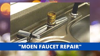 Moen Style Kitchen Faucet Repair And Rebuild [upl. by Odlamur]