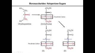 Lec10  Fischer Projection of Ketose Sugars [upl. by Eilitan]