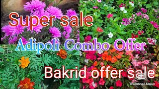 Plants sale combo offer flowering plants  Malayalam [upl. by Myrvyn]