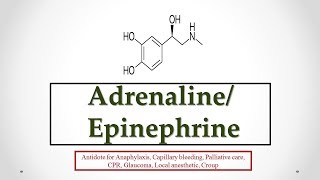 Adrenaline Epinephrine uses antidote effects mechanism indications and ADRs ☠ [upl. by Mcgannon323]