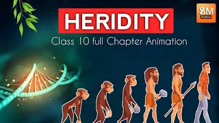 Heredity Chapter By Sunlike Study Full Explanation In Animation  NCERT Class 10 Chapter 7  CBSE [upl. by Ecirtel]