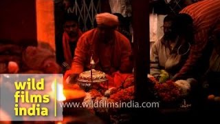 Phallus worship Priest worships Shiv Linga at Indian temple [upl. by Enyrhtak]