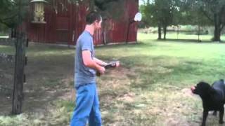 Shooting Sawed Off 12GA Shotgun And It Breaks [upl. by Inah]