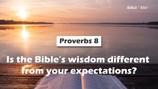 【 Proverbs 8 】Is the Bible’s wisdom different from your expectations ｜ACAD Bible Reading [upl. by Siahc]