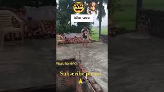 Odia power 👹 l funny comedy shorts viralshort Biswadibedit youtubeshorts nature monkey [upl. by Eesdnyl]