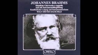 Brahms Waldesnacht du wunderkuhle from Heyses Jungbrunnen [upl. by Derron]