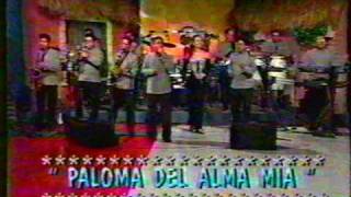 junior klan en vivo paloma del alma miampg [upl. by Nnylg]