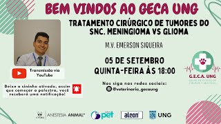 Tratamento Cirúrgico de Tumores do SNC Meningioma VS Glioma [upl. by Narine]