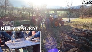 Das Holz wird gesägt  Verletzt mit der Säge  StreuobstVLOG 53 [upl. by Fleck76]