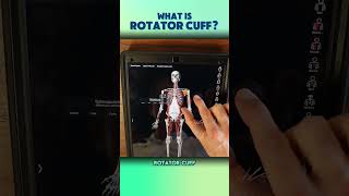 Is Your Shoulder Pain Linked to These 4 Rotator Cuff Muscles [upl. by Pearse]