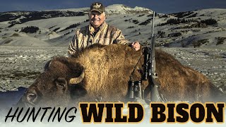 Wyoming Buffalo Hunting with Mike Eastman Eastmans Hunting TV [upl. by Adekan384]