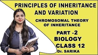 Principles Of Inheritance And Variation  Class 12 Biology  Chromosomal Theory  CBSE  NCERT [upl. by Amhsirak831]