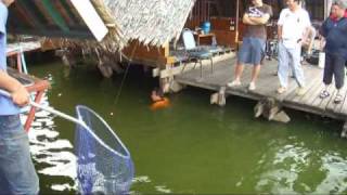 55KG Giant Mekong Catfish Fishing Thailand By BKKGUY [upl. by Nnylaj]